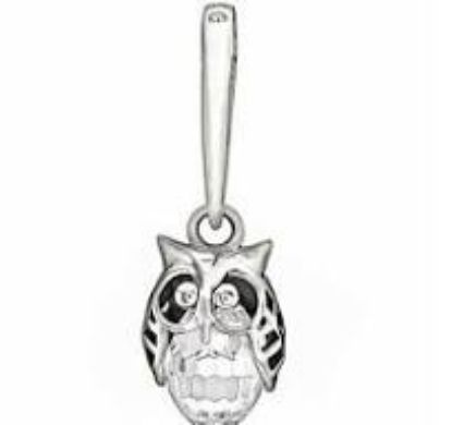 Picture of Chamilia - Wise Owl