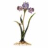 Picture of Jay Strongwater Vincent Iris Objet