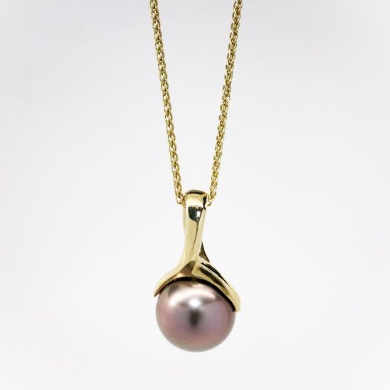 Picture of 14k Yellow Gold & Tahitian Cultured Pearl Necklace 