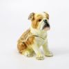 Picture of Kingspoint Designs Bliss the English Bulldog Trinket Box with Matching Necklace