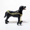 Picture of Kingspoint Designs Espresso the Black Lab Trinket Box with Matching Necklace