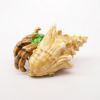 Picture of Kingspoint Designs Hermie the Hermit Crab Trinket Box with Matching Necklace