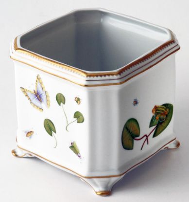 Picture of Anna Weatherley Porcelain Square Frog Cachepot