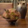 Picture of Rookwood for Mottahedeh 'Orion' Flower Bowl with Frog