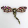 Picture of Jay Strongwater Dragonfly Brooch