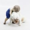 Picture of Bing & Grondahl Porcelain 'Unconditional Love - Two Friends' Boy with Bulldog Figurine