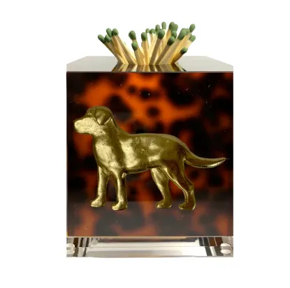 Picture of Labrador Match Striker in Tortoise By Southern Tribute