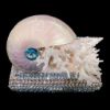 Picture of Isabella Adams Aquamarine Shell Cluster Keepsake Box
