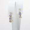 Picture of 14k Yellow Gold Tanzanite & Diamond Earrings 