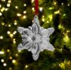 Picture of 2023 Towle Sterling Silver Old Master Snowflake 34th Edition