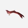 Picture of One Hundred 80 Degrees  Red Glass & Feather Bird clip on Ornament 