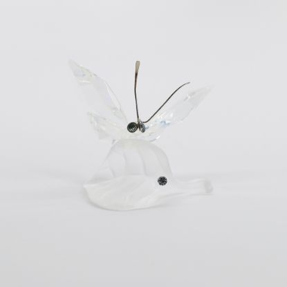 Picture of Swarovski - Butterfly On Frosted Leaf