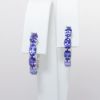 Picture of 14k White Gold Tanzanite Earrings 