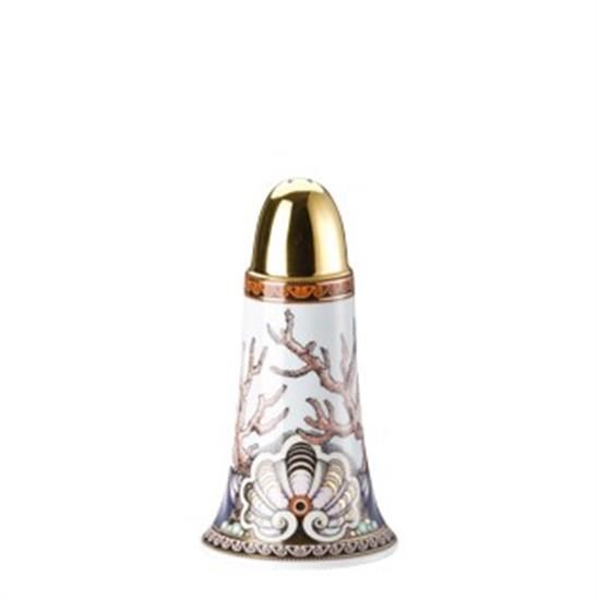 Picture of New Salt Shaker