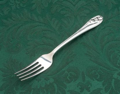 Picture of Place Forks