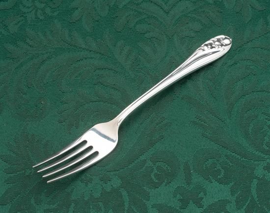 Picture of Place Forks