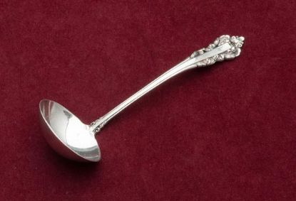 Picture of Sauce Ladle