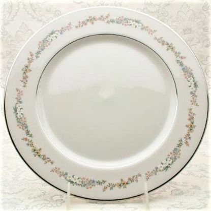 Picture of Dinner Plates