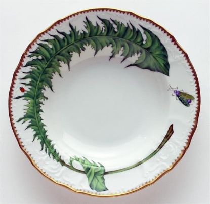 Picture of New Soup Plates