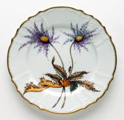Picture of New Dinner Plate