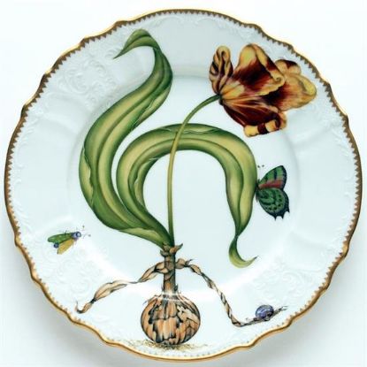 Picture of Dinner Plates