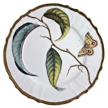 Picture of New Dinner Plate