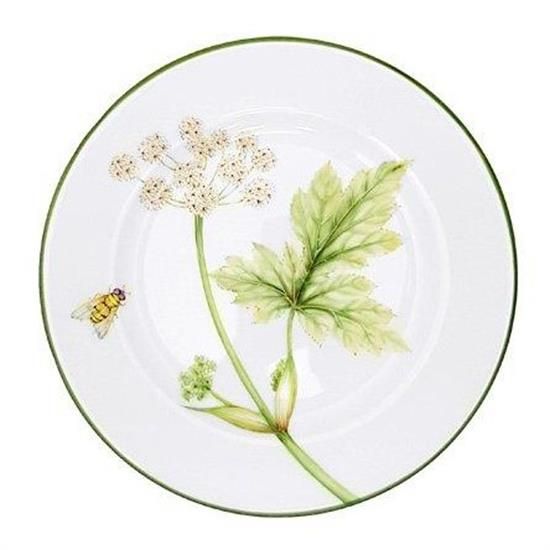 Picture of New Salad Plates