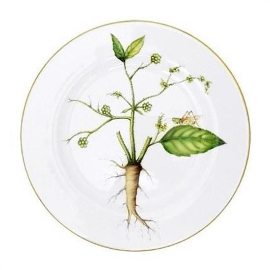 Picture of New Accent Salad Plate