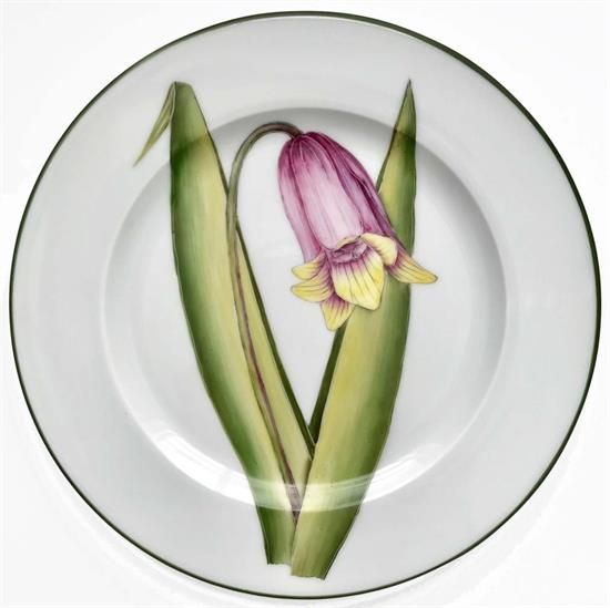 Picture of New Salad Plates