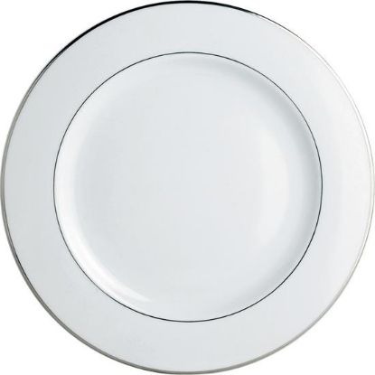 Picture of New Service Plate 12"