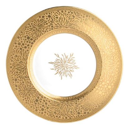 Picture of New Service Plate 12"