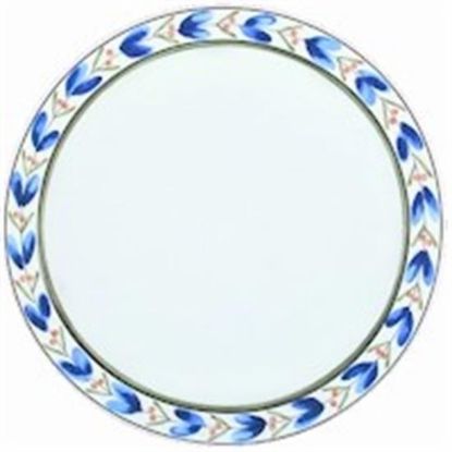 Picture of Dinner Plates