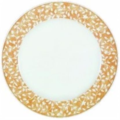 Picture of Dinner Plates