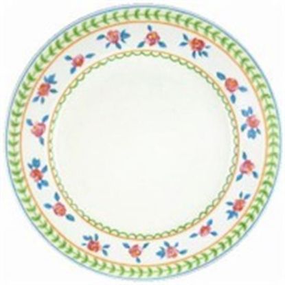 Picture of Dinner Plates