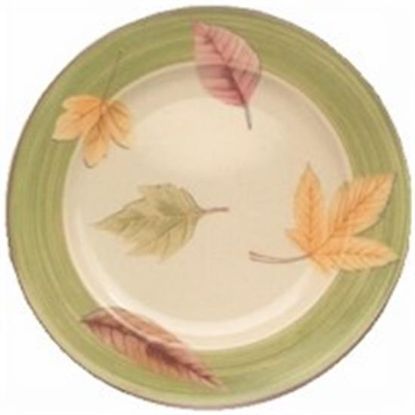 Picture of Dinner Plates