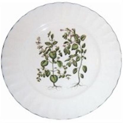 Picture of Dinner Plates