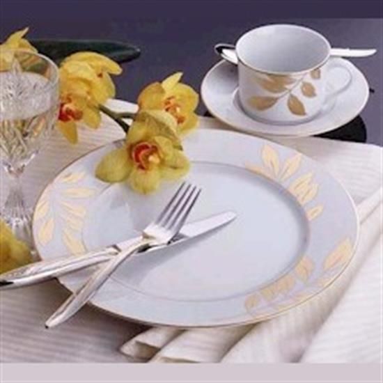 Picture of Dinner Plates