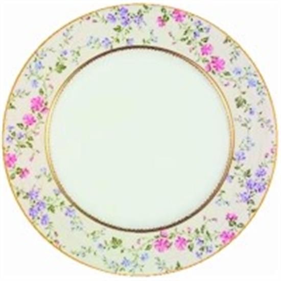 Picture of Dinner Plates