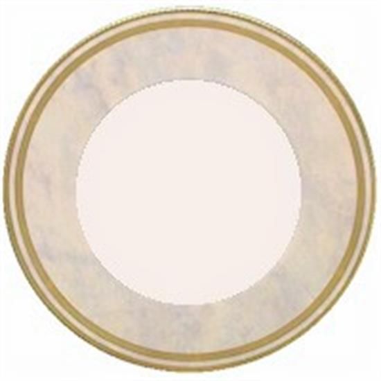Picture of Dinner Plates