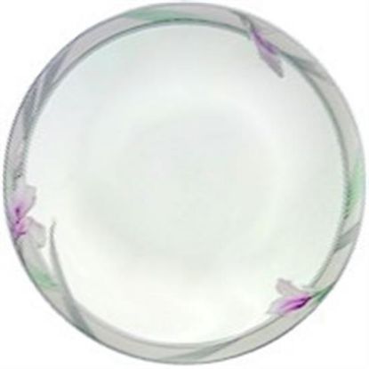 Picture of Dinner Plates