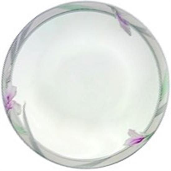 Picture of Dinner Plates