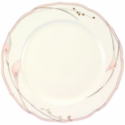 Picture of Dinner Plates