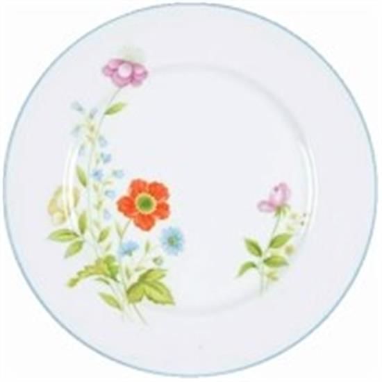 Picture of Dinner Plates