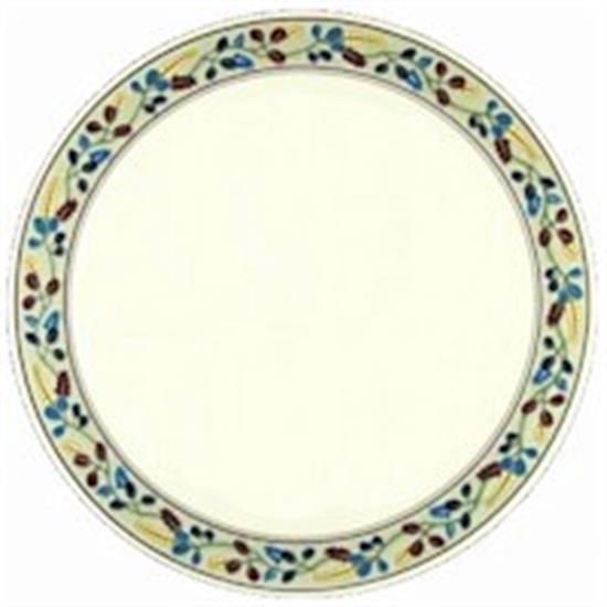 Picture of Dinner Plates