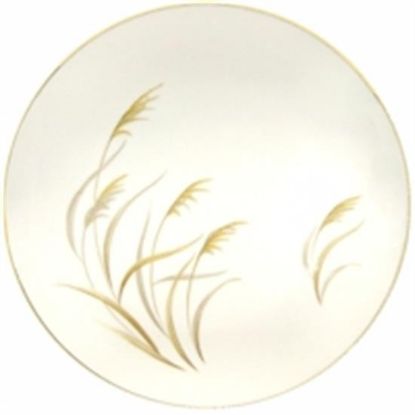 Picture of Dinner Plates