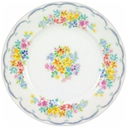 Picture of Dinner Plates