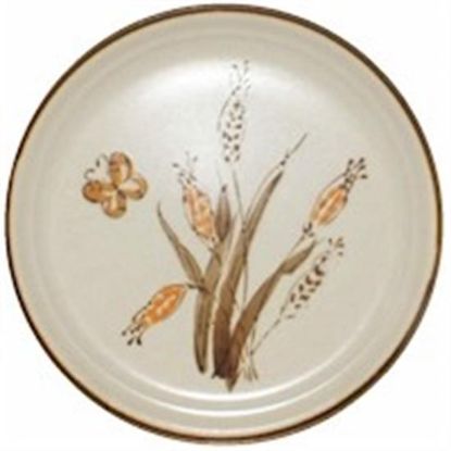Picture of Dinner Plates