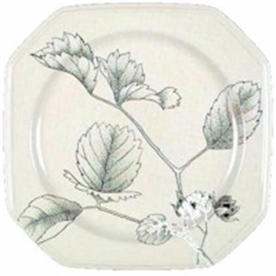 Picture of Dinner Plates