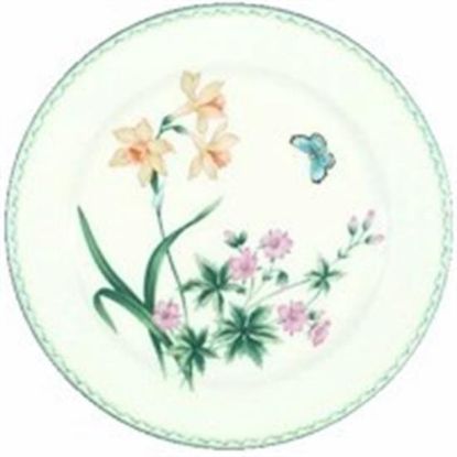 Picture of Dinner Plates