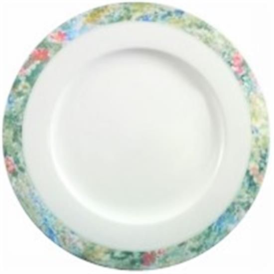 Picture of Dinner Plates